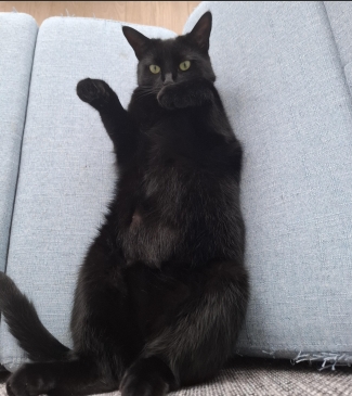 luna